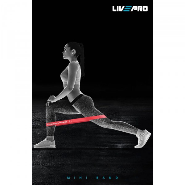 Livepro Minibands Set Product picture