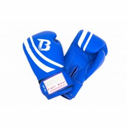 Boxerské rukavice Booster Pro Range V2 Gloves Obrázek výrobku
