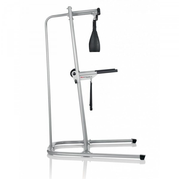 Chaise romaine Bowflex Body Tower Photos du produit
