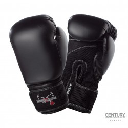 Century boxing gloves I Love Kickboxing Obrázek výrobku