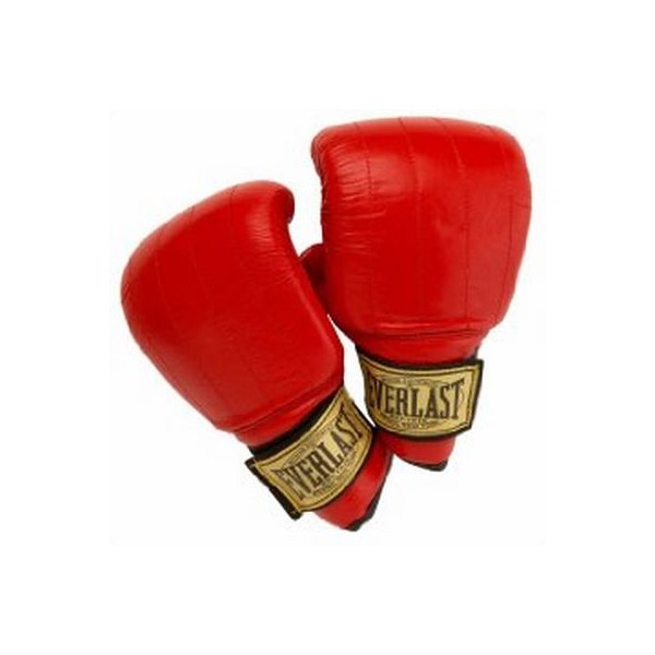 Everlast Boston Super Bag Gloves red Product picture