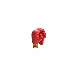 Juniorské boxerské rukavice Everlast Obrázek výrobku