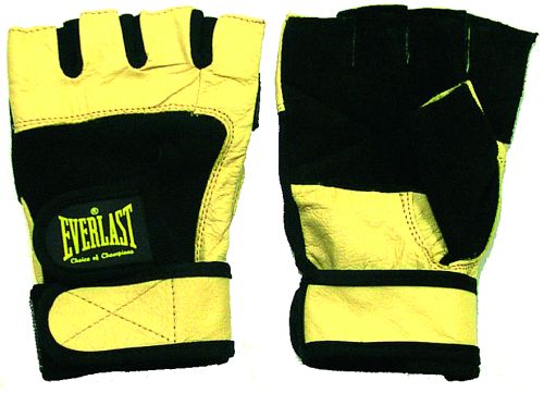 everlast weight gloves