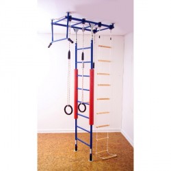 Climbing jungle gym set purchase online now