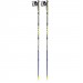 LEKI Micro Flash Carbon Nordic Walking stok