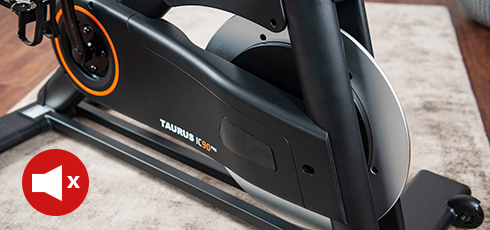 Taurus IC90 Pro indoor cycle Training Tranquility