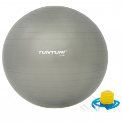Tunturi Gymball silver 65cm Zdjęcie produktu